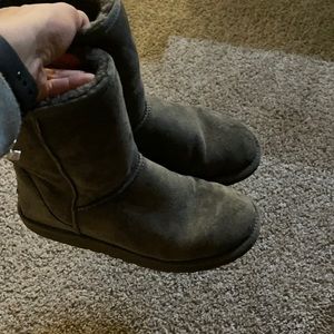 gray uggs
